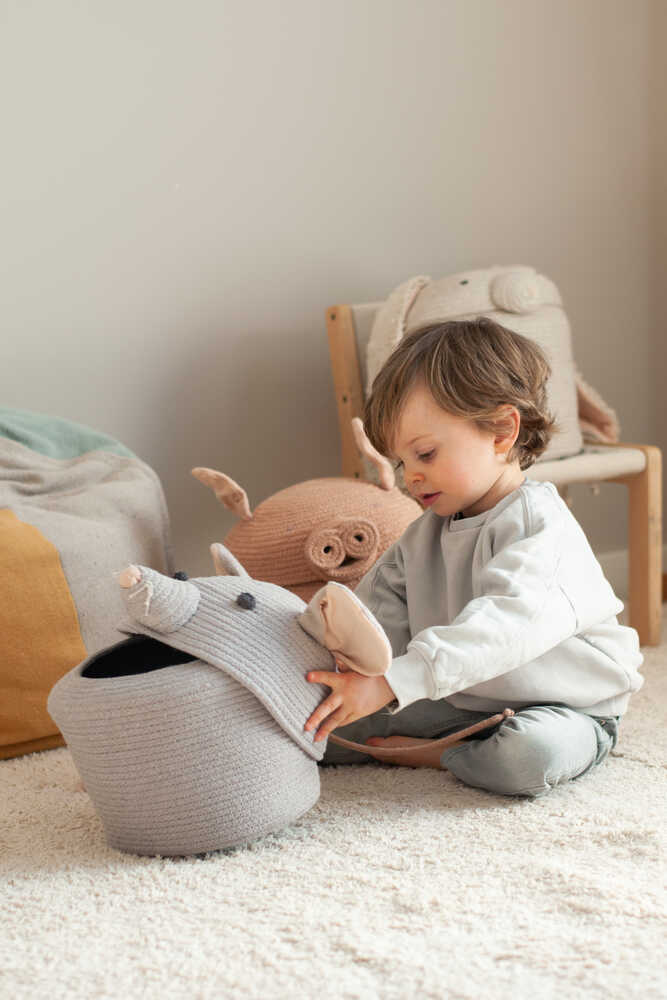 BASKET RENATA THE RAT