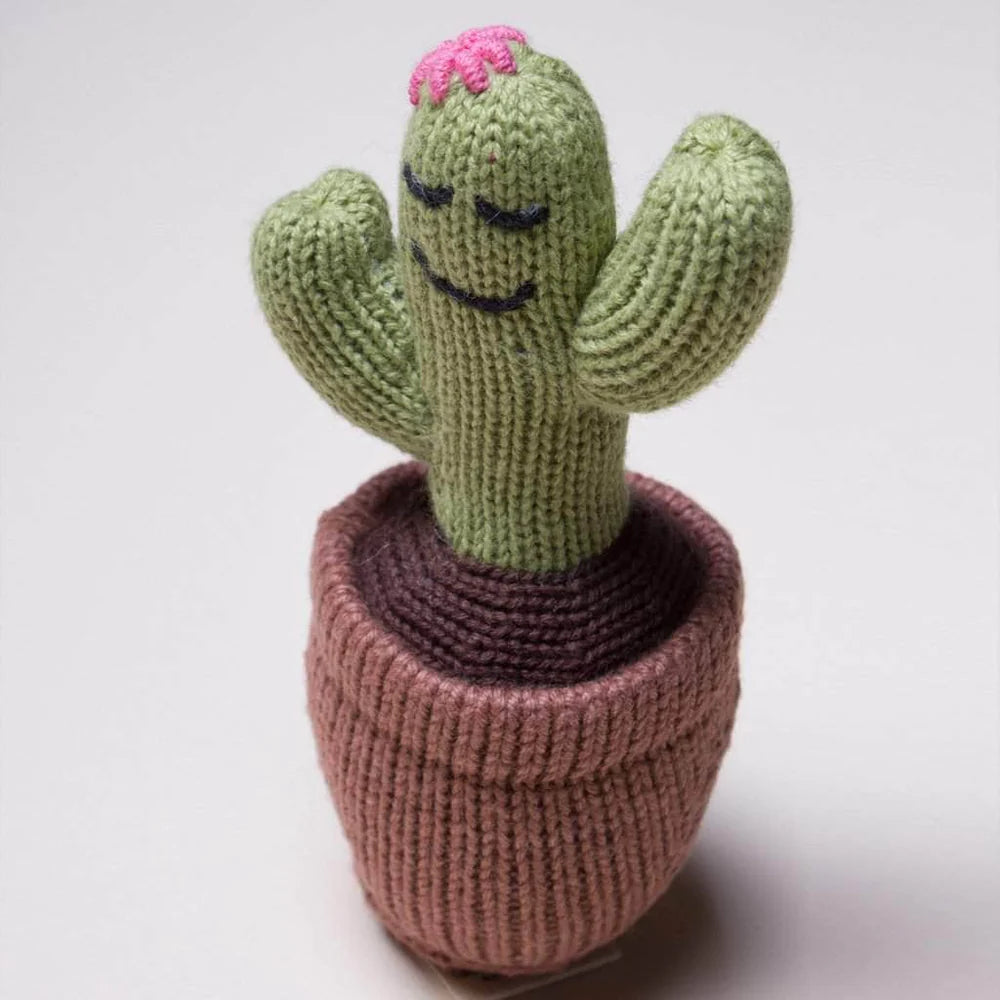 Organic Baby Toys - Newborn Rattles | Cactus